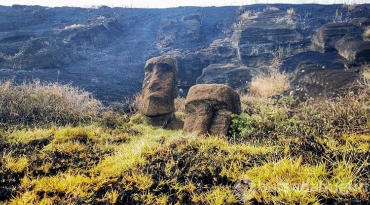 Dünya mirası 500 yıllık Rapa Nui heykelleri yangında onarılamaz hasar gördü