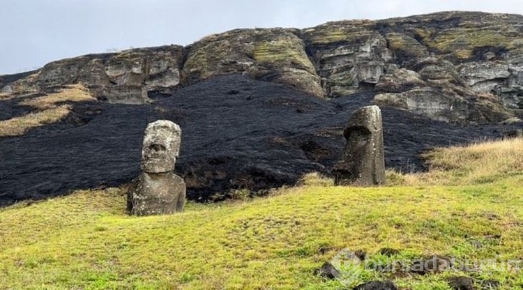 Dünya mirası 500 yıllık Rapa Nui heykelleri yangında onarılamaz hasar gördü