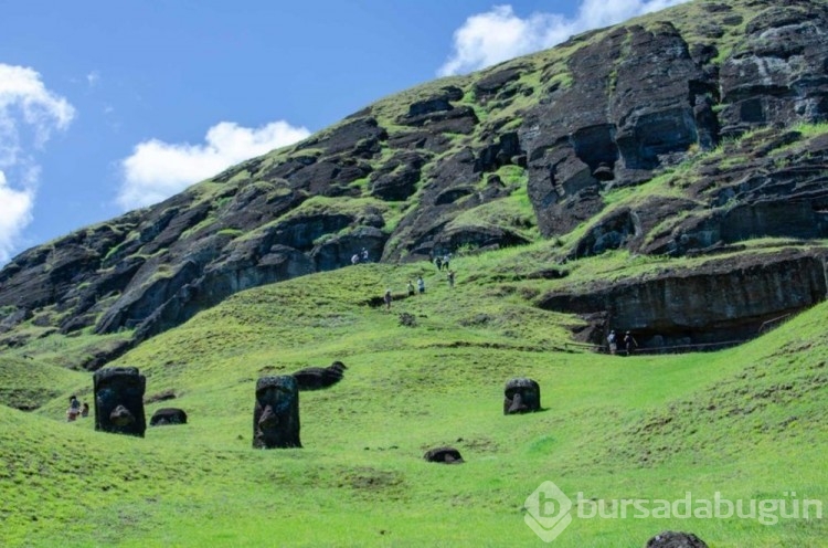 Dünya mirası 500 yıllık Rapa Nui heykelleri yangında onarılamaz hasar gördü