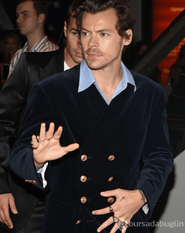 Dünyanın en yakışıklı erkeği Harry Styles
