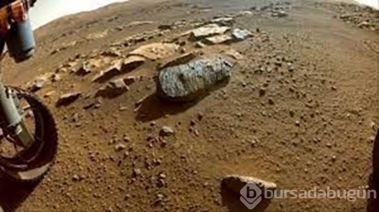 Mars'ta hayat var mı? 
