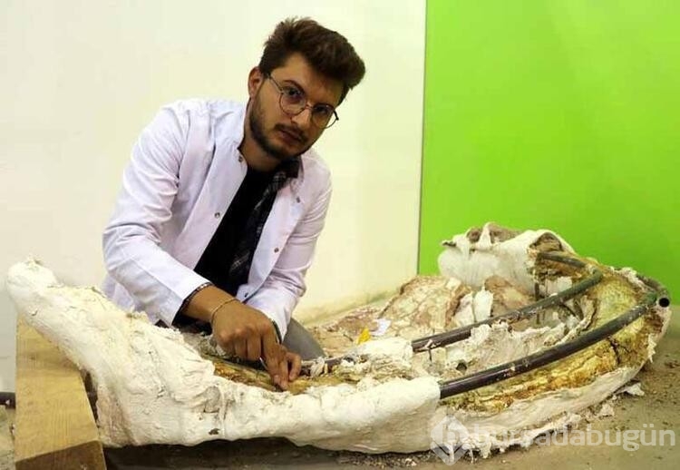 Kayseri'de 400'e yakın fosil bulundu
