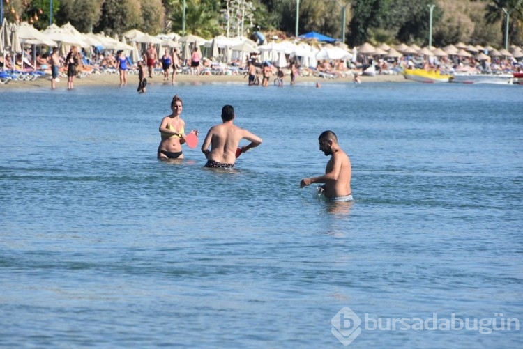 Bodrum'da 'sarı yaz'