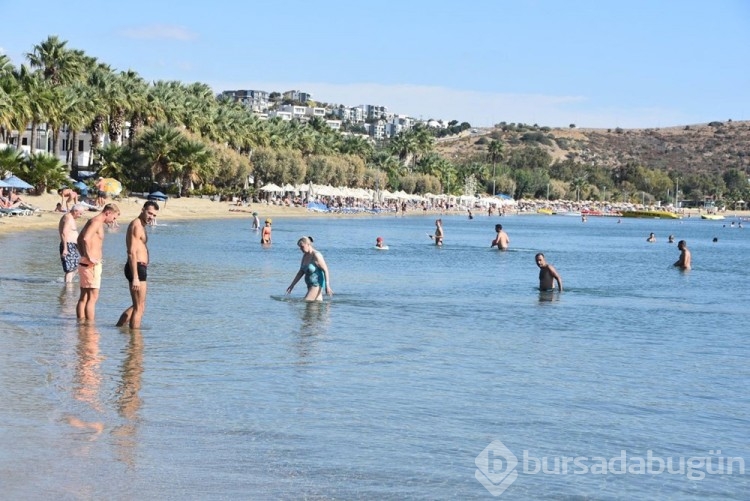 Bodrum'da 'sarı yaz'
