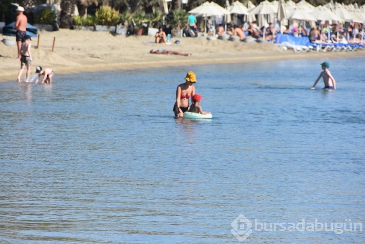 Bodrum'da 'sarı yaz'
