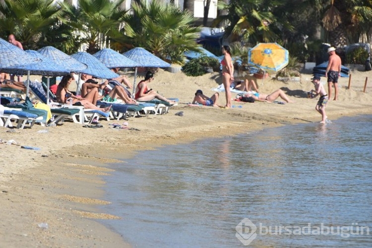 Bodrum'da 'sarı yaz'