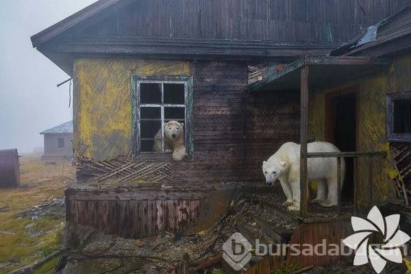 2022 yılının en iyi okyanus fotoğrafları
