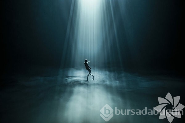 2022 yılının en iyi okyanus fotoğrafları

