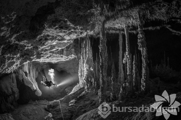 2022 yılının en iyi okyanus fotoğrafları
