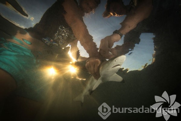 2022 yılının en iyi okyanus fotoğrafları
