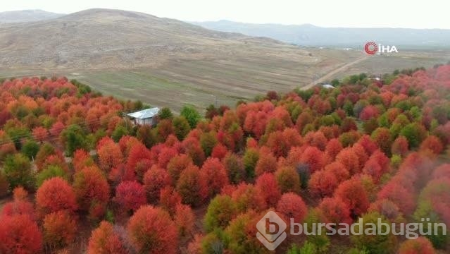 Bozkır tuvale dönüştü! Ortaya çıkan manzara mest etti
