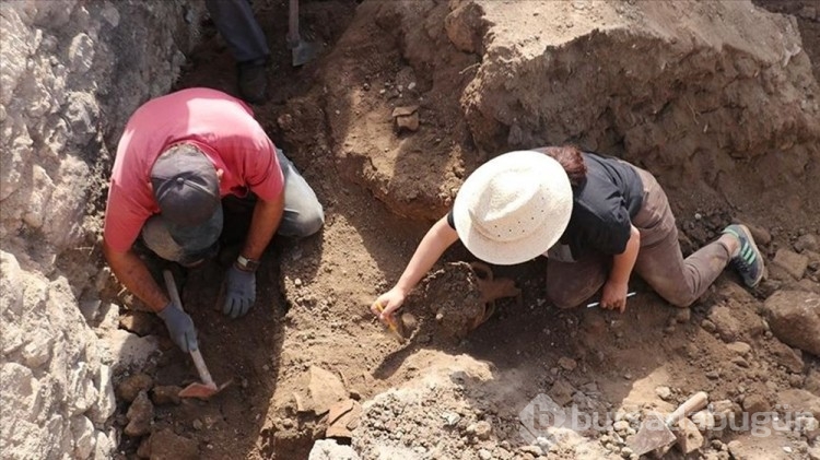 Antiocheia Antik Kenti'nde Roma dönemine ait odalar ve sunu kapları bulundu
