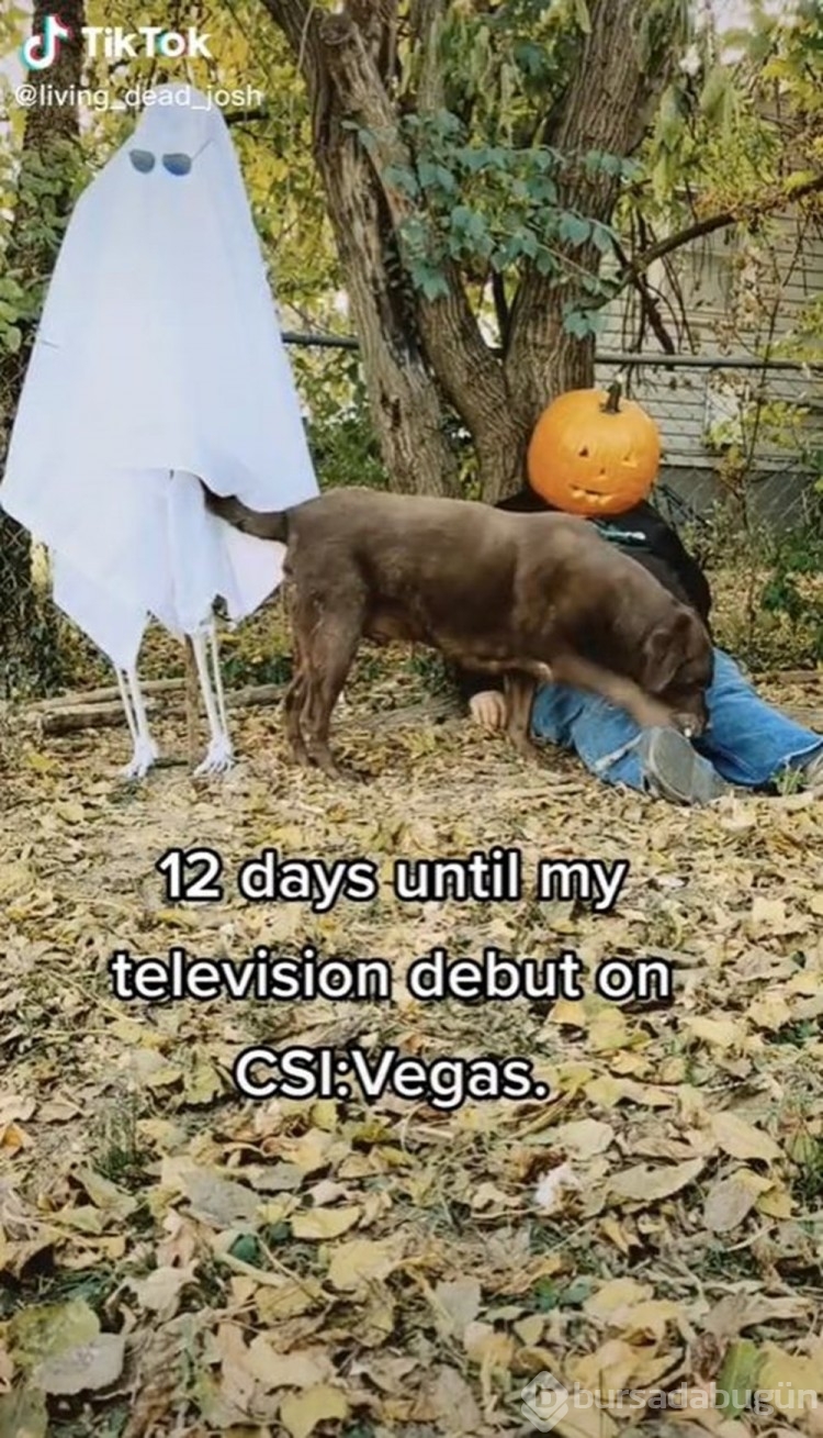 TikTok'ta ölü taklidi yapan adam CSI: Vegas dizisinde ceset rolü kaptı
