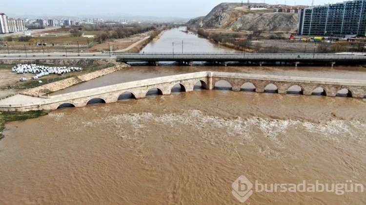 Kızılırmak'ta su seviyesi düştü, otluğa dönüştü

