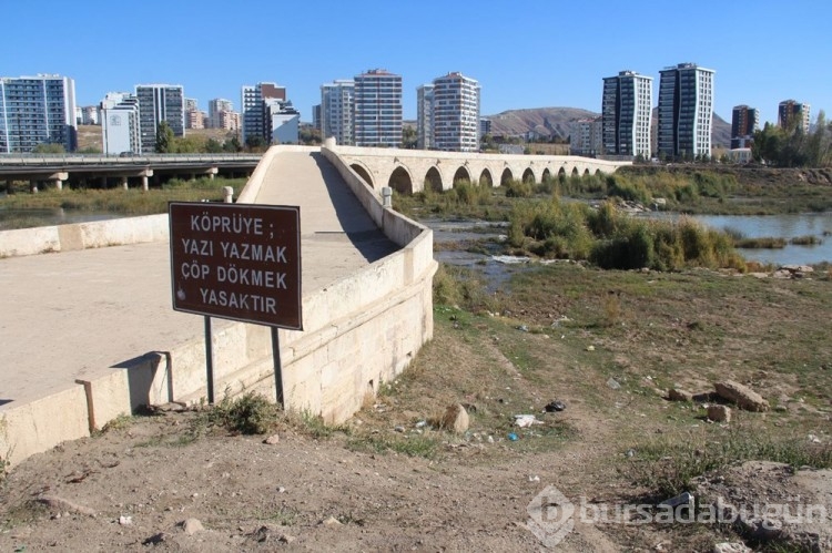 Kızılırmak'ta su seviyesi düştü, otluğa dönüştü
