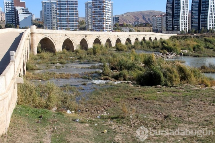 Kızılırmak'ta su seviyesi düştü, otluğa dönüştü
