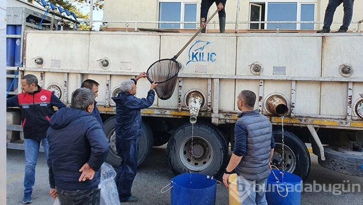 903 bin adet yavru sazan balığı salımı yapıldı
