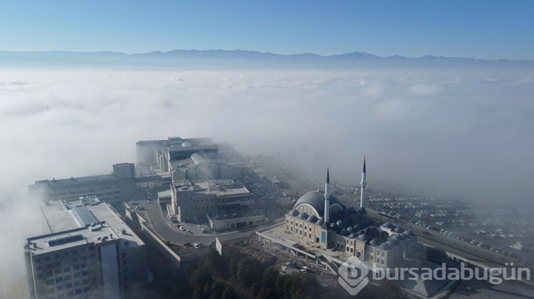 Düzce Ovası'nın üzerini sis tabakası kapladı
