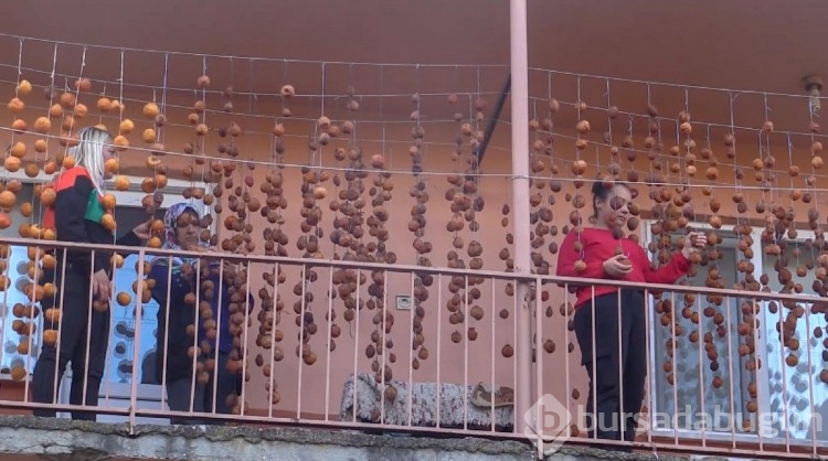 Cennet hurmasında kurutma mesaisi