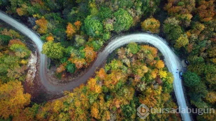 Sakarya'da sonbahar güzelliği
