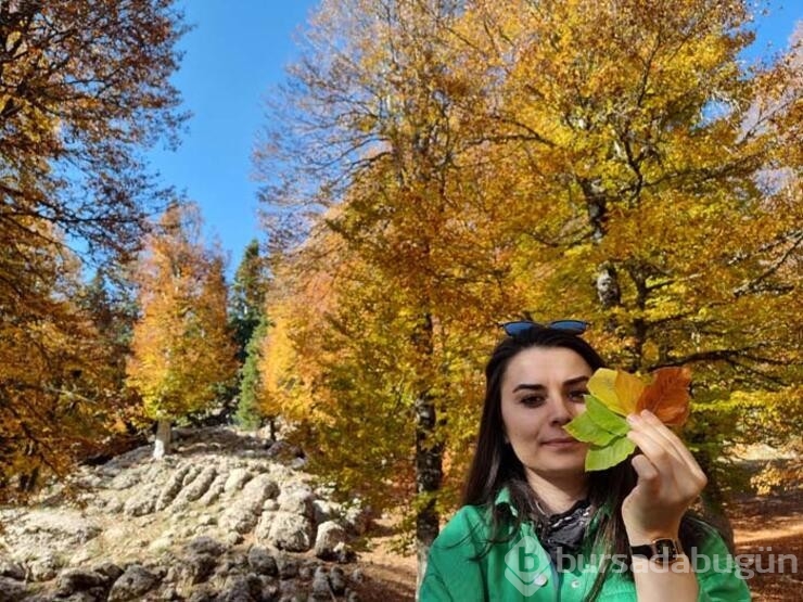 Adana'da sonbahar manzarası ile tek! Yirce kayın ormanı ziyaretçilerine eşsiz manzara sunuyor
