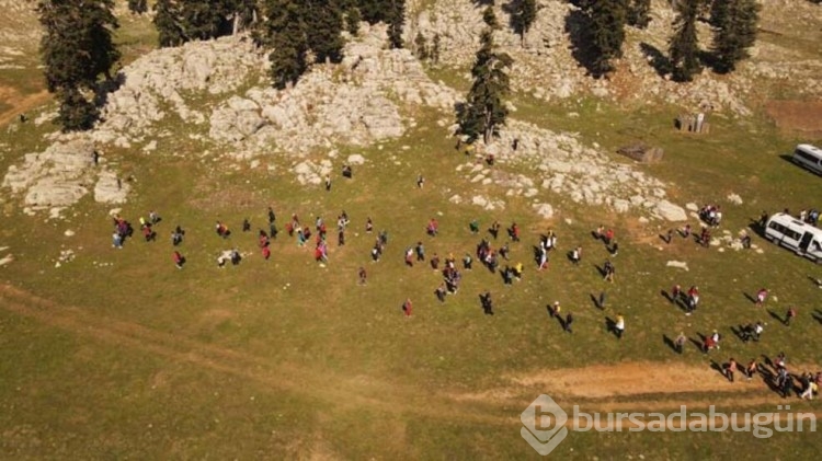 Adana'da sonbahar manzarası ile tek! Yirce kayın ormanı ziyaretçilerine eşsiz manzara sunuyor
