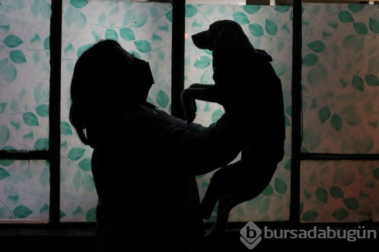 Dünyanın ilk köpek restoranı Bolivya'da açıldı