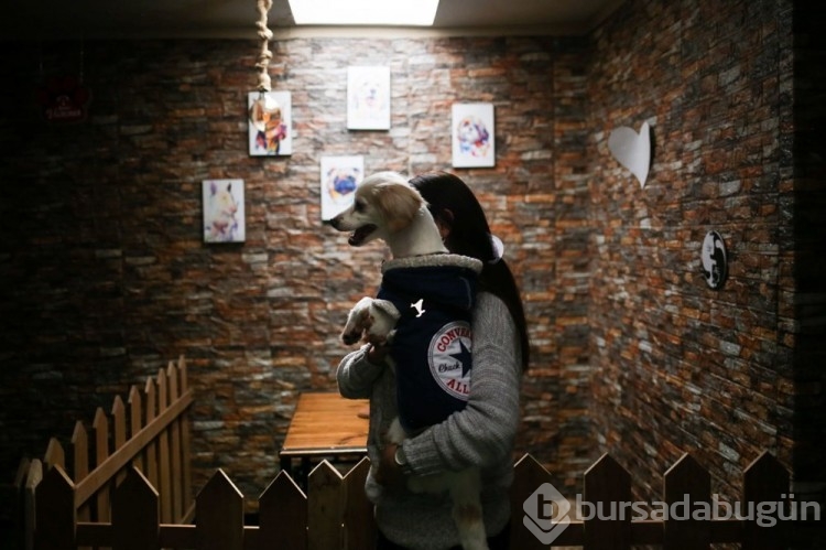 Dünyanın ilk köpek restoranı Bolivya'da açıldı