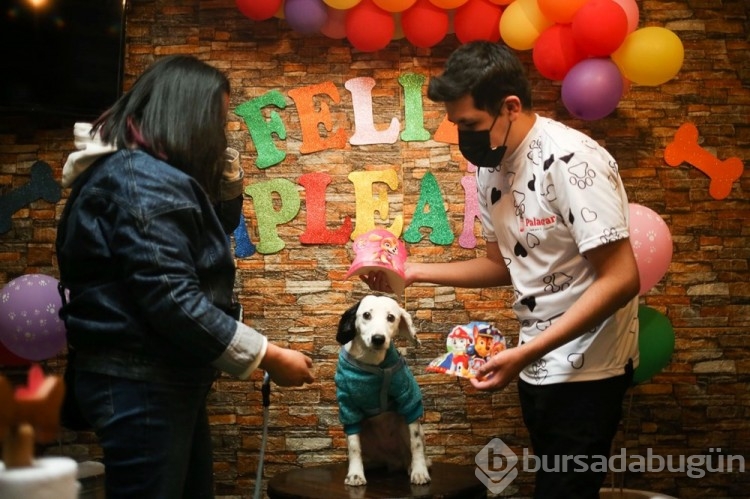 Dünyanın ilk köpek restoranı Bolivya'da açıldı