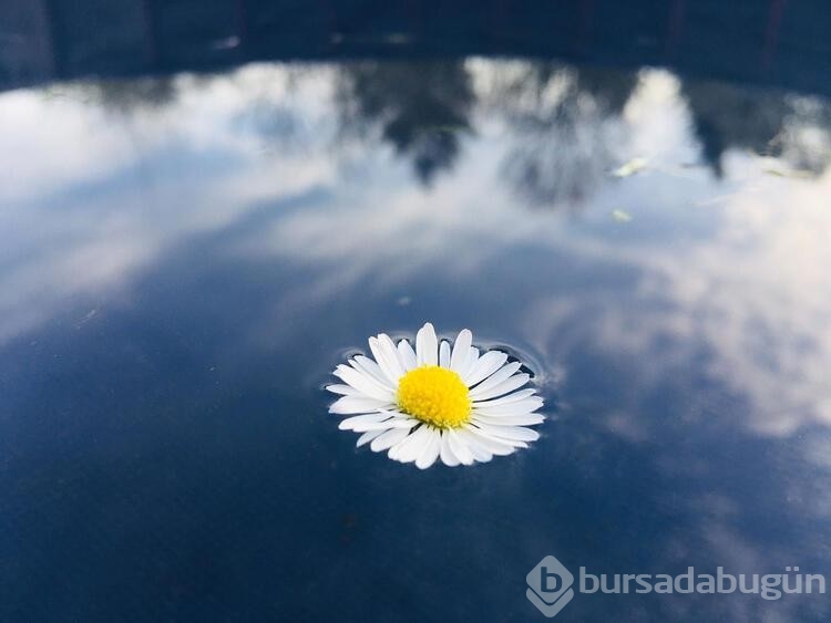 Haftada 1 kez kullanınca cildi bembeyaz yapıyor

