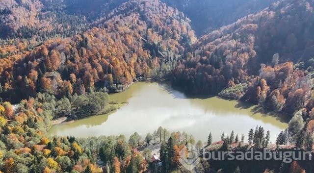 Evlenecek çiftlerin gözde mekanı: Karagöl