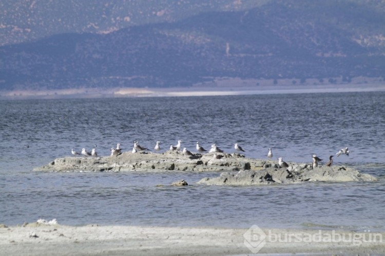 Burdur Gölü'nde iskele 18 metre uzaklaştı!
