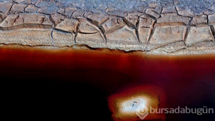 2022 Doğa Manzaraları Fotoğraf Yarışması'nın kazananları belli oldu