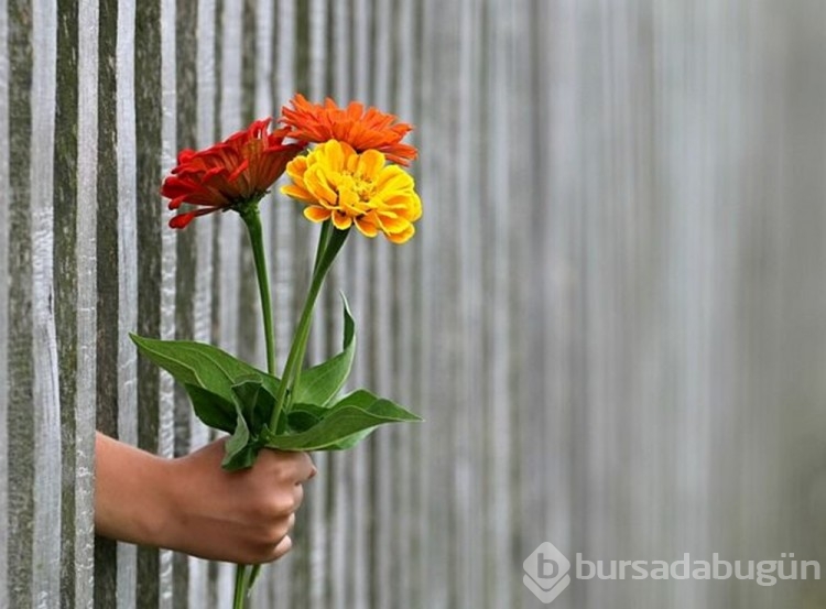 Öğretmenler Günü mesajları ve sözleri sosyal medyada paylaşılıyor