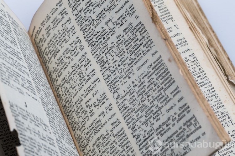 Oxford Sözlüğü'nde bir ilk: Yılın kelimesi 