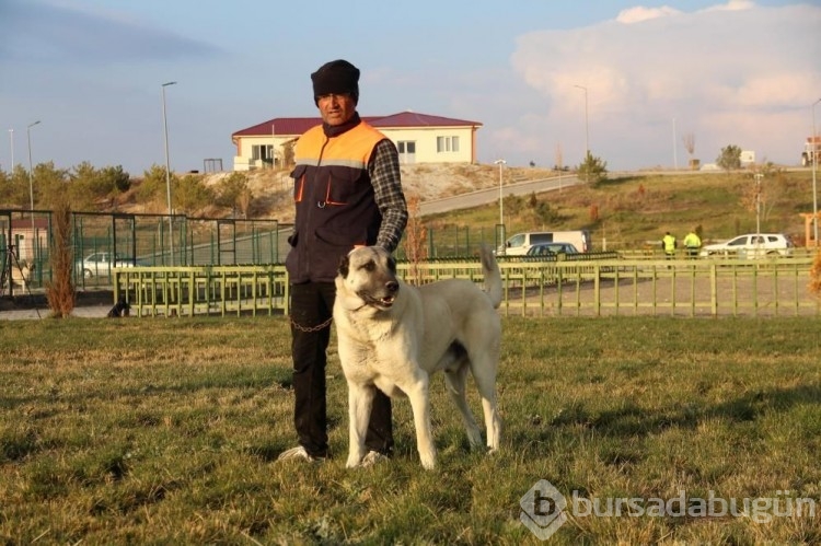 Dünyanın en iyilerinden! 