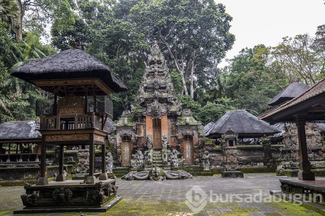 Endonezya'nın turist çeken adası: Bali Adası