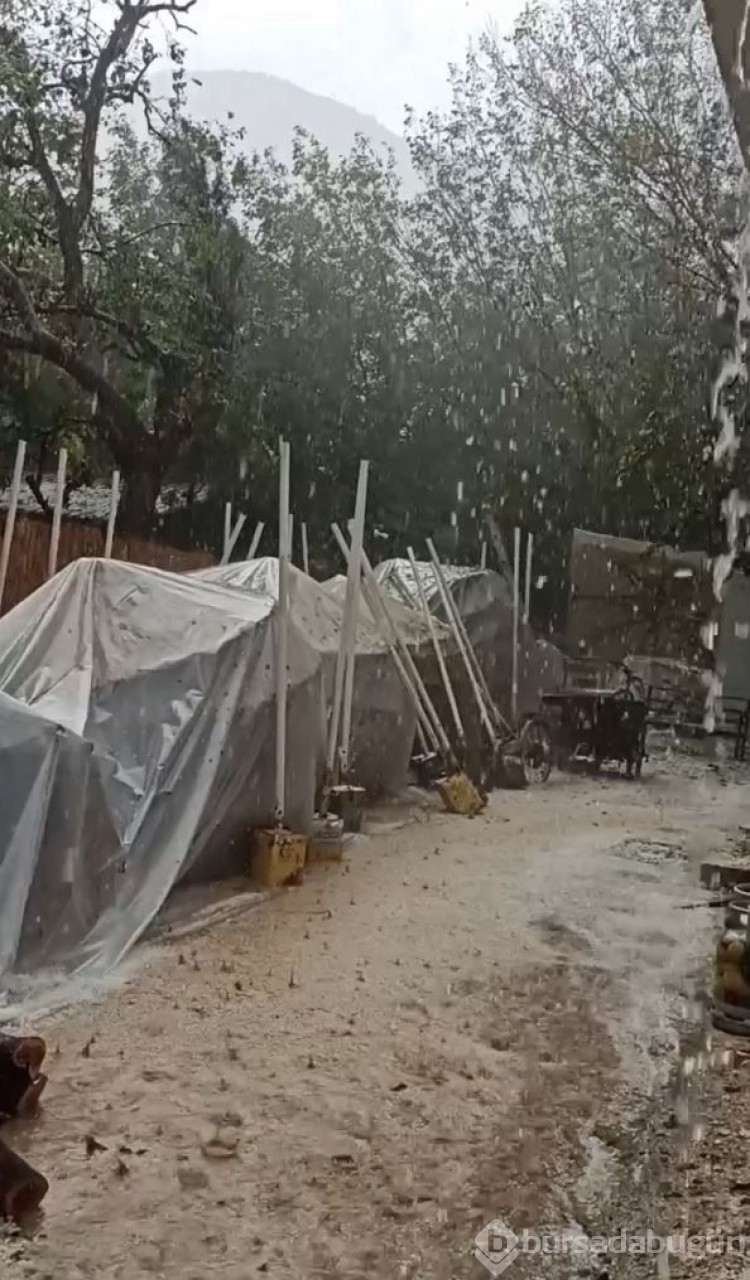 Tatil beldesinde keyif paniğe dönüştü!