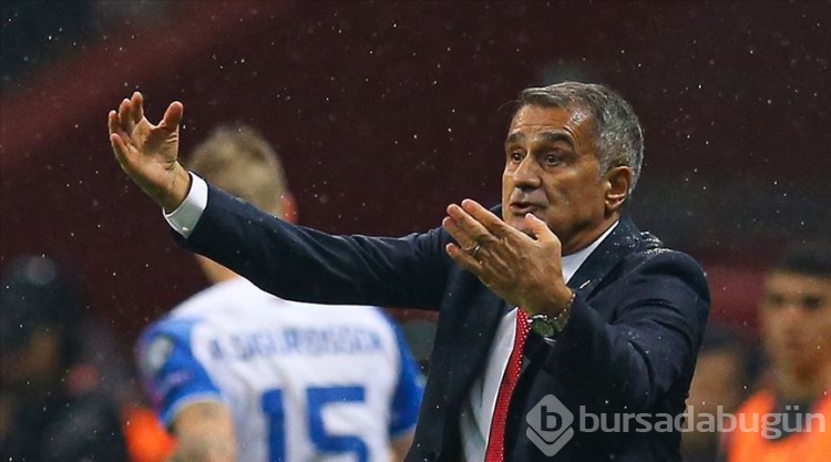 Şenol Güneş: Brezilya gibi oyun istiyorum
