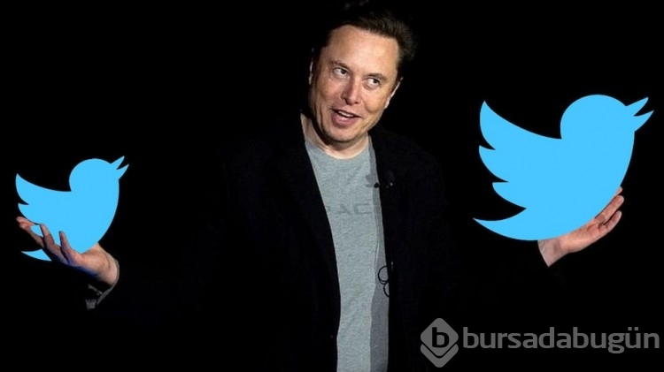 Twitter, askıya alınan hesapları açıyor