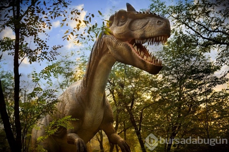 76 milyon yıl önce yaşayan yeni bir dinozor türü keşfedildi