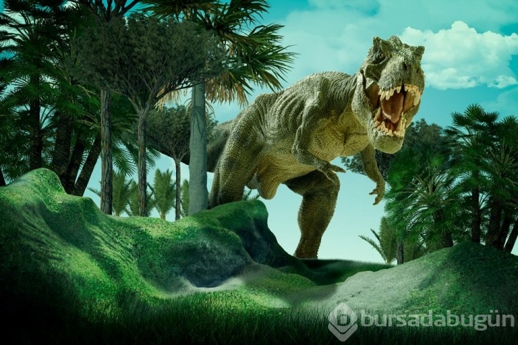 76 milyon yıl önce yaşayan yeni bir dinozor türü keşfedildi