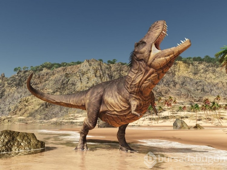 76 milyon yıl önce yaşayan yeni bir dinozor türü keşfedildi