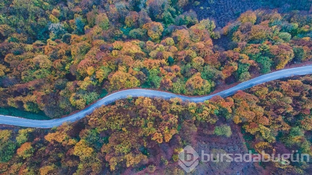 Çam Dağı'nda 'sis filtresi'