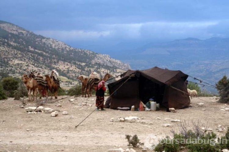 Yörüklerin 'kış yurdu' göçü

