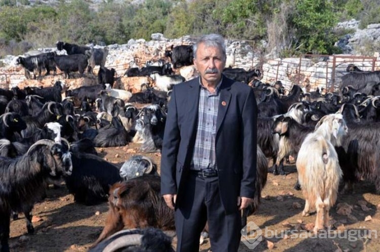 Yörüklerin 'kış yurdu' göçü
