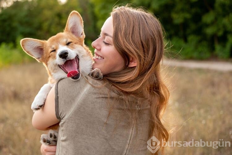 Köpekler için tehlikeli olan besinler