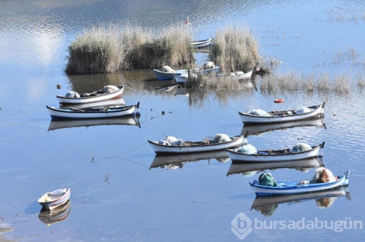 Bafa Gölü 261 kuş türüne ev sahipliği yapıyor