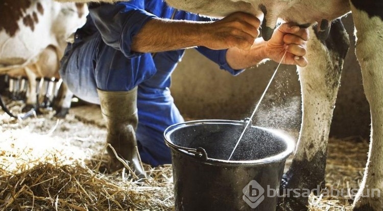 Kaşarlı, kuşbaşıyı geçti