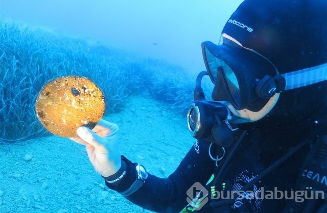 Osmanlı dönemi batıklarında önemli buluntular